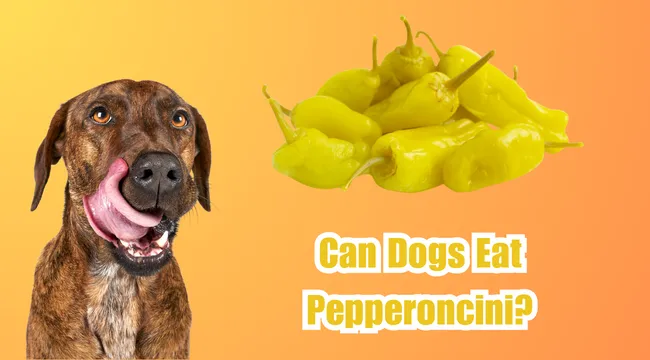 pepperoncini