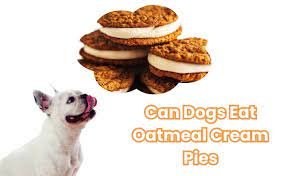 oatmeal cream pies