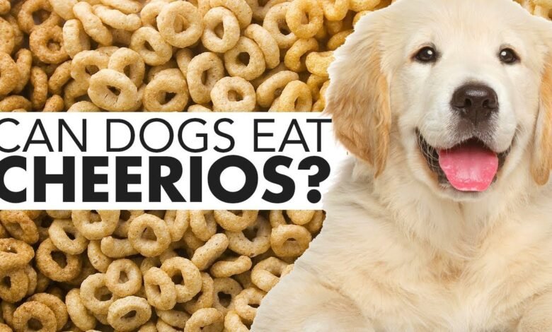 cheerios