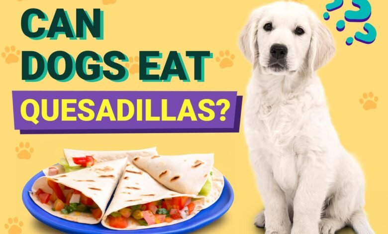 Quesadillas