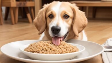 Can Dogs Eat Farro