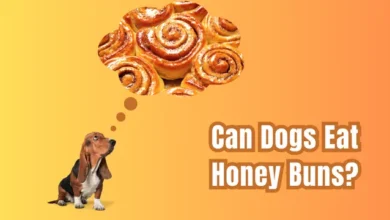 Can Dogs Eat Honey Buns