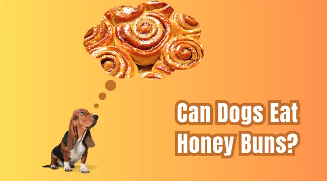 Can Dogs Eat Honey Buns