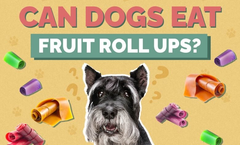 Can Dogs Eat Fruit Roll-Ups