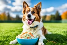 Can Dogs Eat Coleslaw