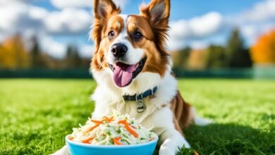 Can Dogs Eat Coleslaw