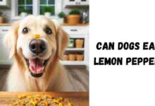 Can Dogs Eat Lemon Pepper