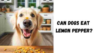 Can Dogs Eat Lemon Pepper