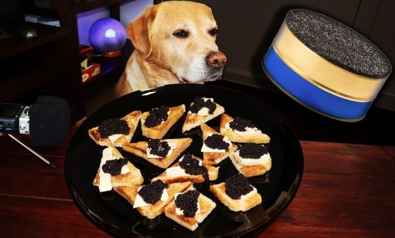 Can Dogs Eat Caviar