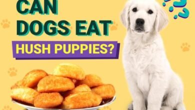 Can Dogs Eat Hush Puppies