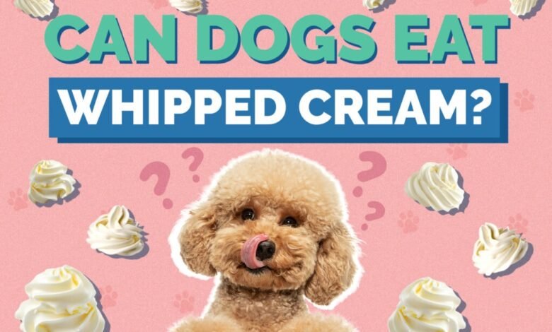 Can Dogs Eat Whipped Cream?