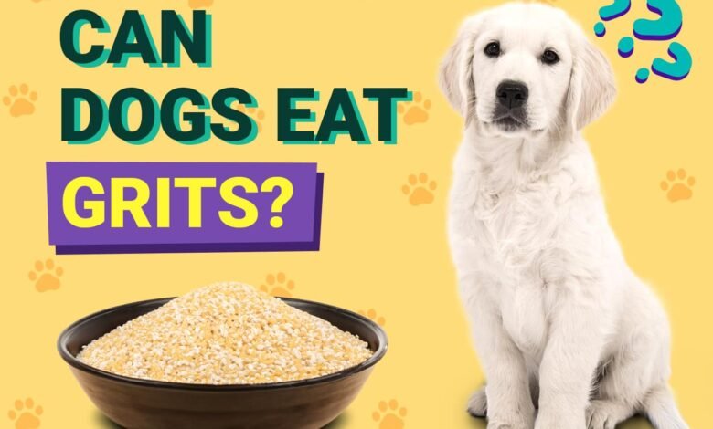 Can Dogs Eat Grits?