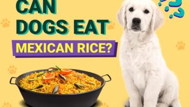 Can Dogs Eat Mexican Rice?