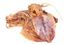 Can Dogs Eat Dried Squid?