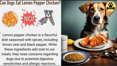 Can Dogs Eat Lemon Pepper Chicken?