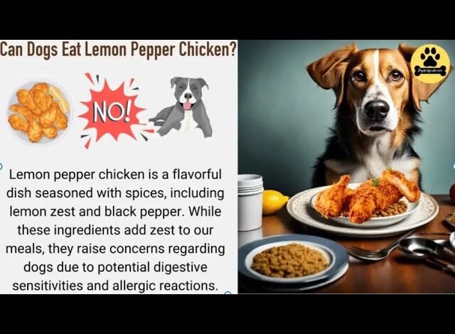 Can Dogs Eat Lemon Pepper Chicken?