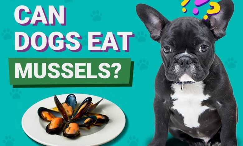 Can Dogs Eat Mussels?