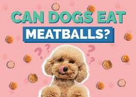 Can Dogs Eat Meatballs