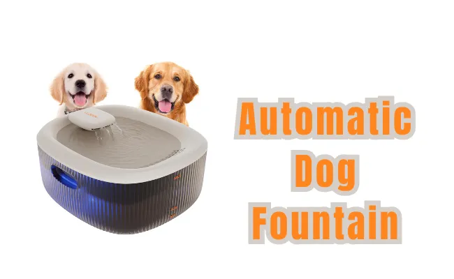 Automatic Dog Fountain