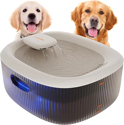 Water Fountain for Large Dogs