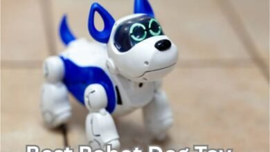 Robot Dog Toy