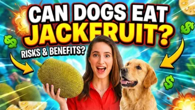 Can Dogs Eat Jackfruit